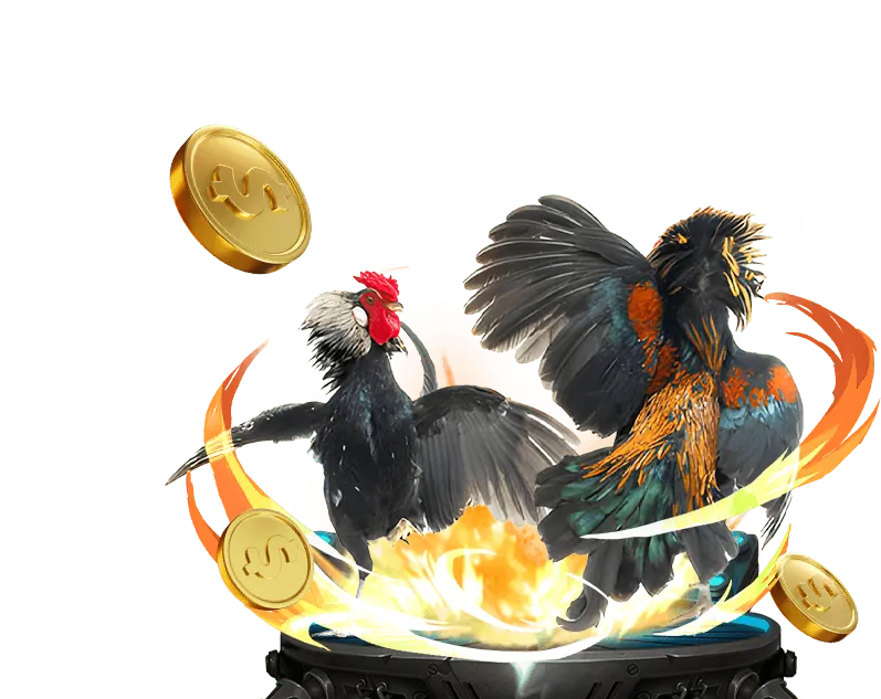 Lợi ích khi xem đá gà Thomo