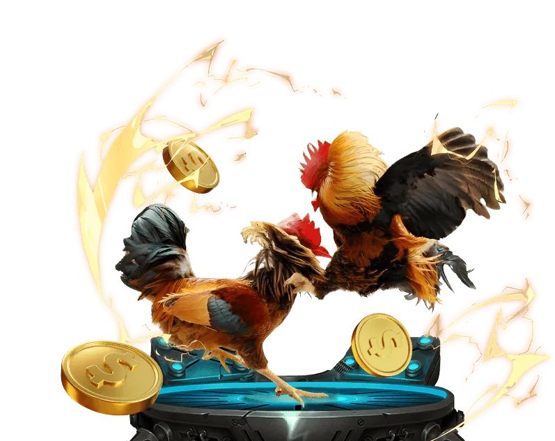 Lưu ý khi xem và đặt cược đá gà